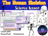 The Human Skeleton - Outstanding Science Lesson