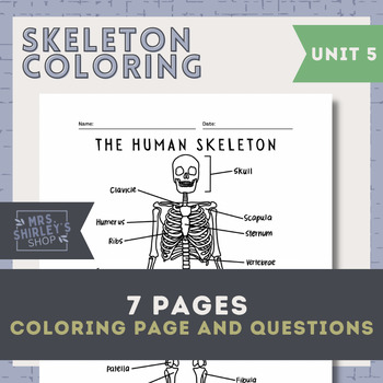 Preview of Human Skeleton Coloring Pages- Anatomy Unit 5 The Skeletal System