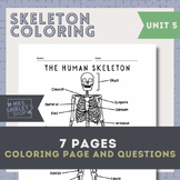 Human Skeleton Coloring Pages- Anatomy Unit 5 The Skeletal System