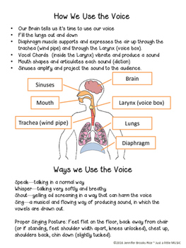 The Human Voice--Vocal anatomy, how we sing, and voice ...
