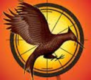 Preview of "The Hunger Games: Catching Fire" Film Literacy Writing Assignments