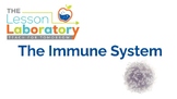 The Immune System