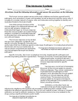 Preview of The Immune System: Informational Text, Images, and Assessment