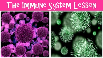 Preview of The Immune System No Prep Lesson with Power Point, Worksheet, and Vocabulary