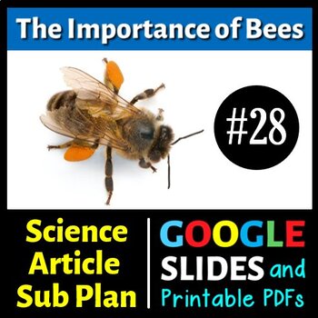 Preview of The Importance of Bees - Sub Plan / Science Reading #28 (Google Slides & PDFs)