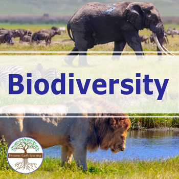 Preview of The Importance of Biodiversity  | Video Lesson, Handout, Worksheet | Environment