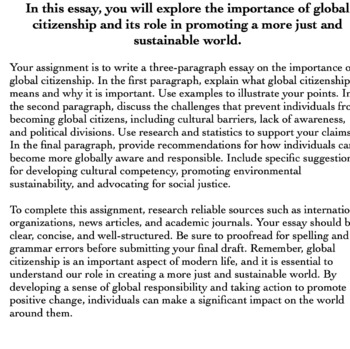 importance of global citizenship essay