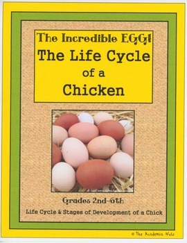 Preview of The Incredible Egg - The Life Cycle of a Chicken