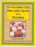 The Incredible Egg - The Life Cycle of a Chicken