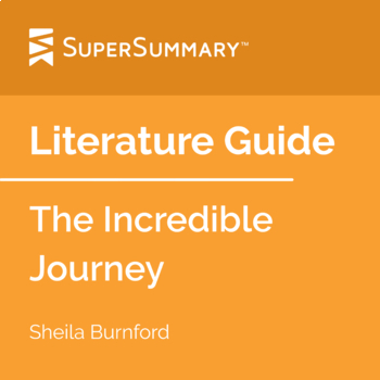 the incredible journey chapter 9 summary