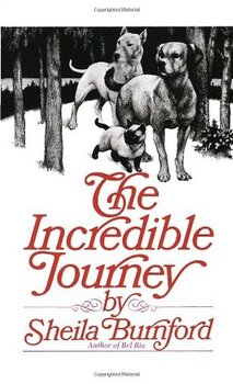the incredible journey novel pdf