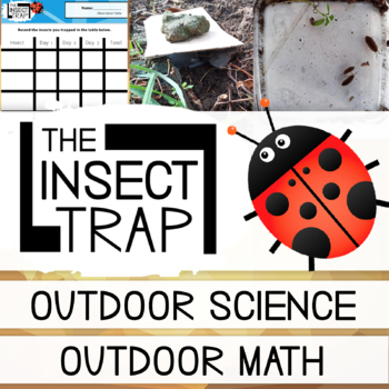 Preview of The Insect Pitfall Trap Science Investigation - Livings Things - Data Handling