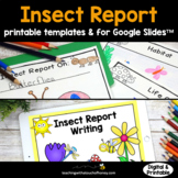 Insect Report | Research Project | Insects Report Writing 