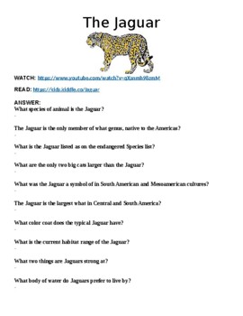 Why Are Jaguars Endangered? - Lesson for Kids - Video & Lesson Transcript