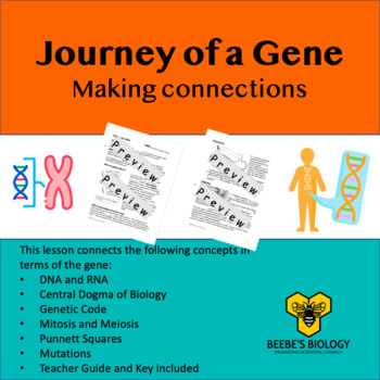 Preview of The Journey of a Gene:  Making Connections