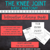 The Knee Joint:An Interactive Coloring Guide to Basic Anatomy