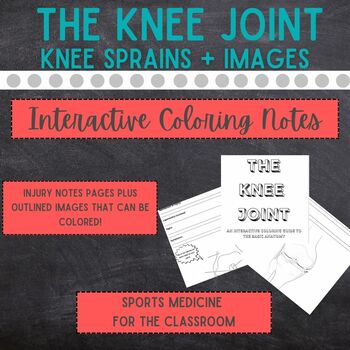 Preview of The Knee Joint: Basic Sprains Notes and Coloring