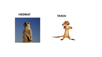 Preview of The LION KING Animal Characters