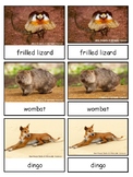 The Land Down Under--Australian Animals Montessori 3-part cards