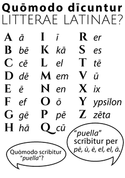 Preview of The Latin Alphabet Poster
