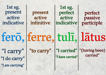 Preview of The Latin Verb - Principal Parts (ferō)