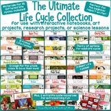 The Life Cycle Bundle Activities, Crafts, and Printables: 