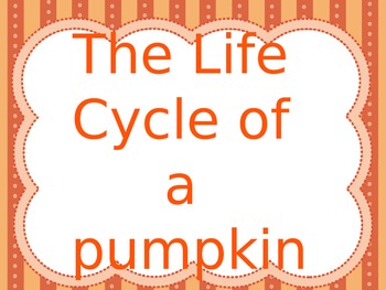 Preview of The Life Cycle Of A Pumpkin