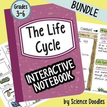 Preview of Science Doodle - The Life Cycle and CO2/Oxygen Cycle Interactive Notebook BUNDLE