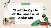 The Life Cycle of Humans and Animals Slide Show