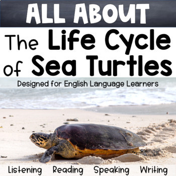 Preview of The Life Cycle of Sea Turtles Language Function Unit for the ESL Classroom