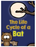 The Life Cycle of a Bat Activity Packet