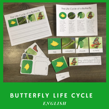 Buttefly Life Cycle in English (Montessori) by Escuelita Montessori