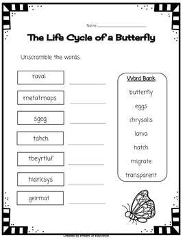 The Life Cycle of a Butterfly by Julia Alwine | TPT