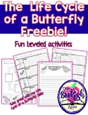 The Life Cycle of a Butterfly Activities Freebie