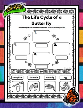 Preview of The Life Cycle of a Butterfly - Cut and Paste Activity