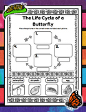 The Life Cycle of a Butterfly - Cut and Paste Activity