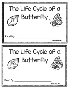 The Life Cycle Of A Butterfly Emergent Reader