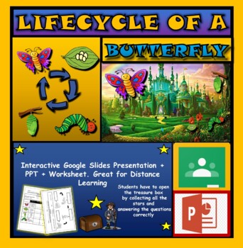 Preview of The Life Cycle of a Butterfly: Interactive Google Slides + PPT + 2 worksheets