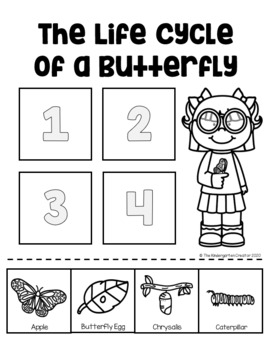 The Life Cycle of a Butterfly Sequence by The Kindergarten Creator