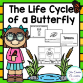 The Life Cycle of a Butterfly | mini book, worksheets & cards