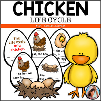 Preview of Life Cycle of a Chicken | First Grade Science Activity