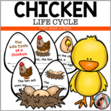 Life Cycle of a Chicken | First Grade Science Activity