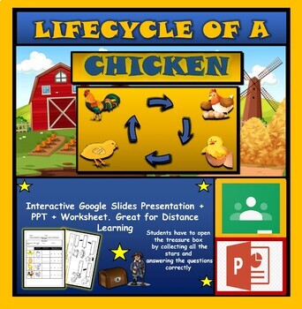 Preview of The Life Cycle of a Chicken: Interactive Google Slides + PPT + 2 worksheets