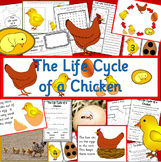 The Life Cycle of a Chicken- Spring, chick, egg, Easter