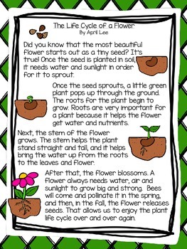 The Life Cycle of a Flower: Shared Reading Unit by Miss Lee's Little ...