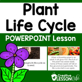 The Life Cycle of a Plant Activities | Plants | Life Cycle