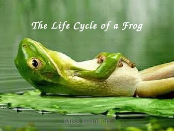 Preview of The Life Cycle of a Frog