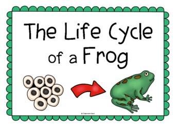 nature teaching resource EYFS/KS1 A4 poster science Life Cycle of a frog 