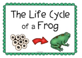 The Life Cycle of a Frog Information Poster Set/Anchor Charts