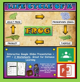 Preview of The Life Cycle of a Frog: Interactive Google Slides + PPT + 2 worksheets